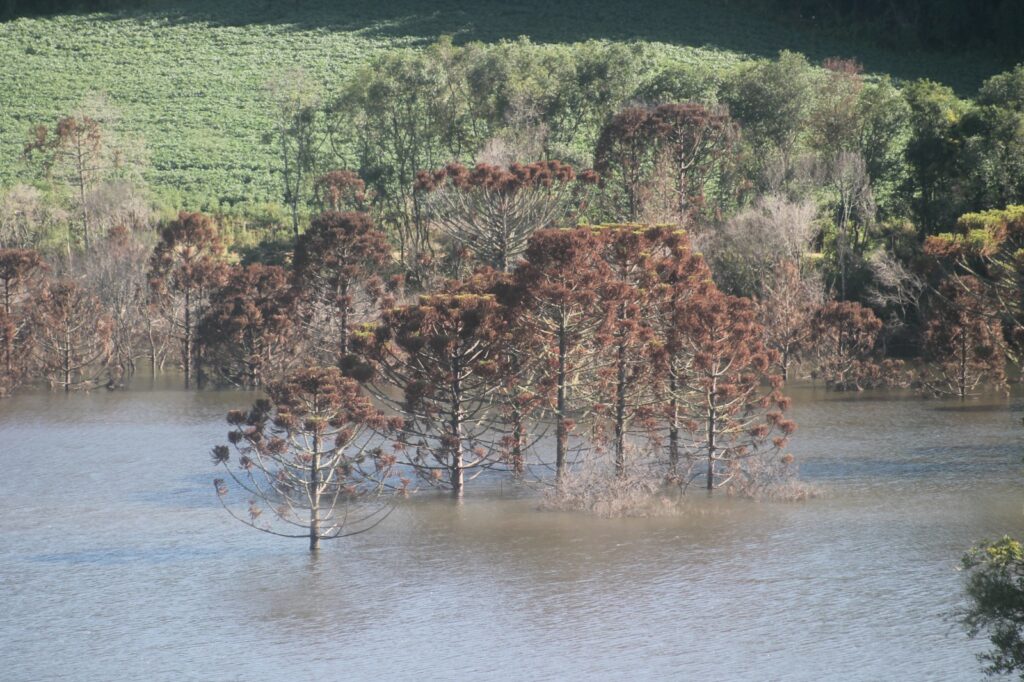 Crusoé: Principal barragem de SC, sem manutenção há 10 anos, emperra