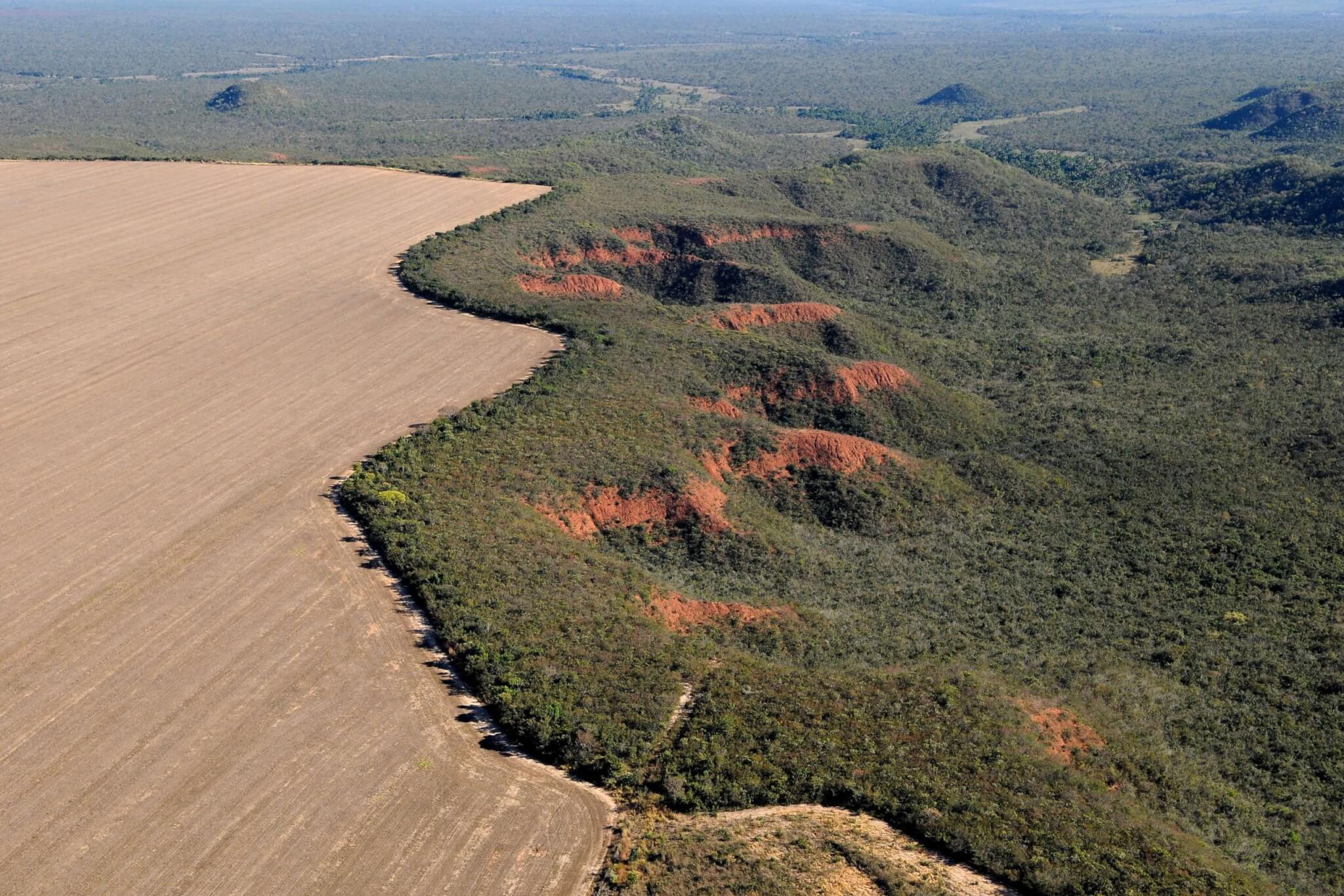 Fronteira De Resistência Comunidades Tradicionais Na Preservação Do Cerrado E Enfrentamento Ao 7137