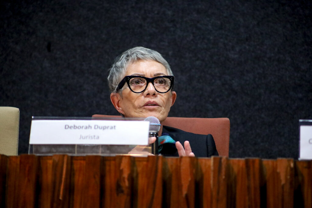 Deborah Duprat durante seminário em Brasília sobre a regulamentação da PNAB. Foto: Nívea Magno / MAB