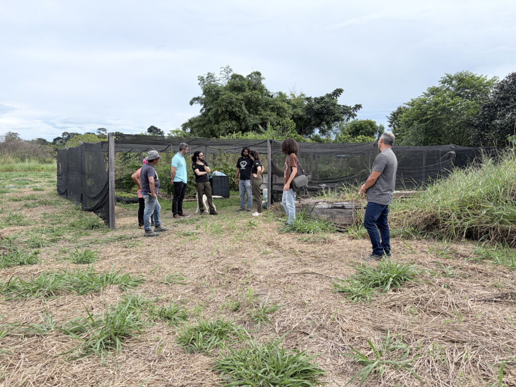 MAB, MPT e REC fortalecem ações em Agroecologia e Comunicação Popular ...