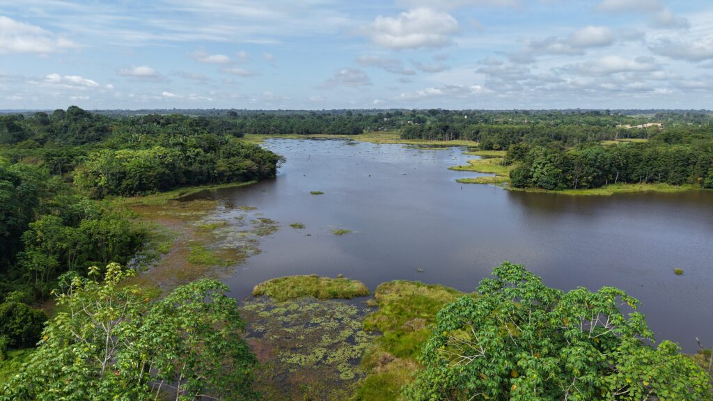 Beneficiários da comunidade de Ramal do Jacu e Linha 45, plantando mudas de cacau e buriti no entorno do Lago Maravilha. foto: Klézi Martins / MAB