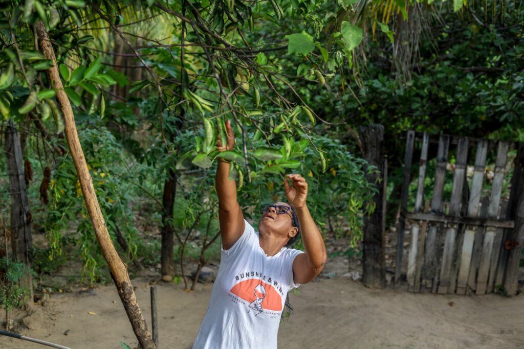 A mãe de Paloma, Maria Inês Pessoa, no quintal da casa em que cresceram em Piauí Poço Dantas. Foto: Nívea Magno / MAB