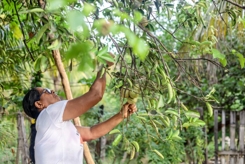 A mãe de Paloma, Maria Inês Pessoa, no quintal da casa em que cresceram em Piauí Poço Dantas. Foto: Nívea Magno / MAB