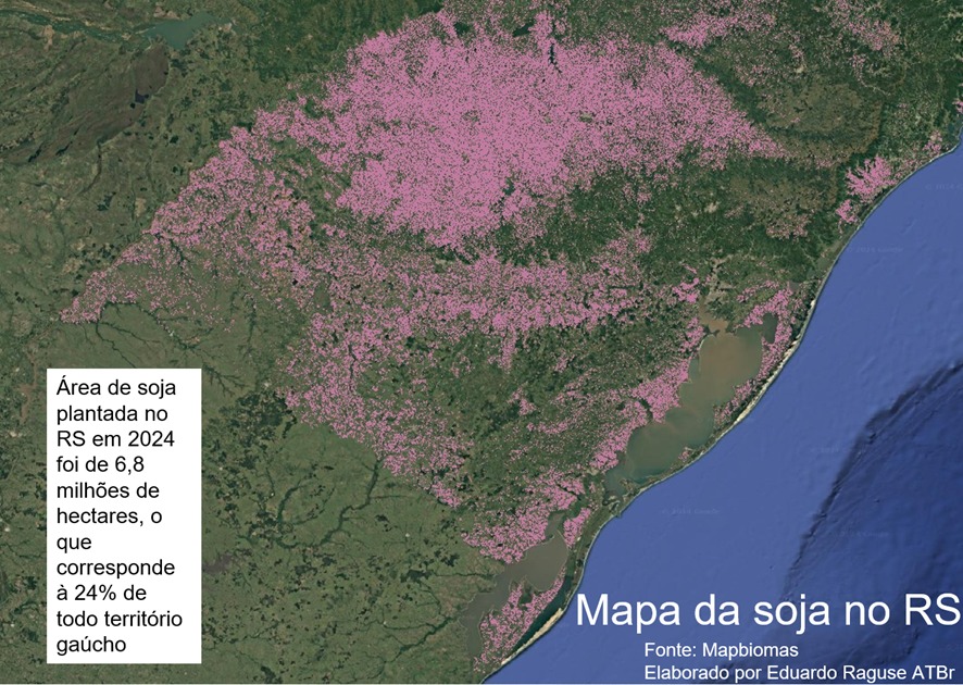 A soja tomou conta do mapa gaúcho. O preço quem paga são os atingidos frente à crise climática.