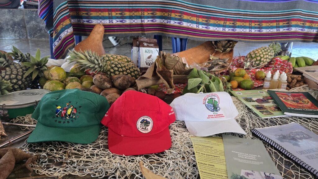 Simbologia dos movimentos que participaram da atividade (bonés, frutas, cartilhas e etc.)